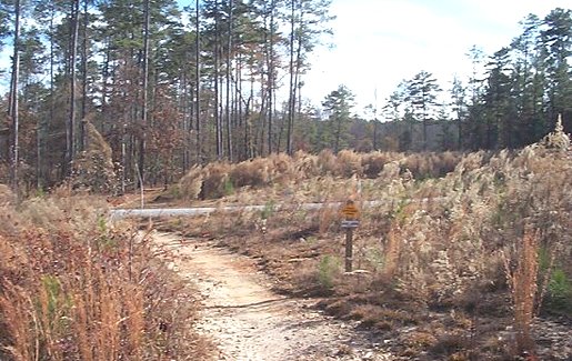 Stewardship Trail