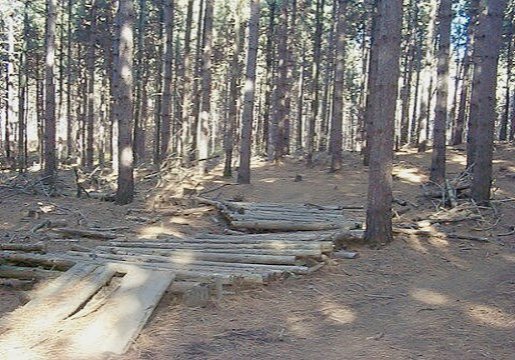 Suzie's Log Bridge