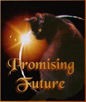 Promising Future Award