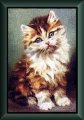 Sample Frame Kitten