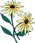 Sflowers15.gif (2885 bytes)