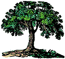 Stree2.gif (5416 bytes)