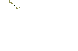 anilght1.gif (2138 bytes)