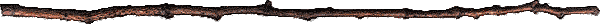 bar65.gif (3058 bytes)