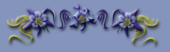 bluebar1.jpg (13203 bytes)