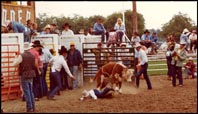 That's it.  NO more calf riding for my kids.  :-(