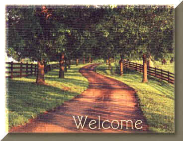 Life's ...Long Road