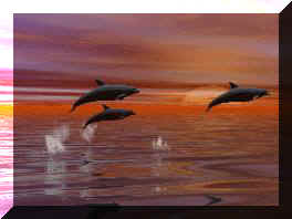 dolphi_2.jpg (7719 bytes)