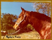 Kathy's Toots