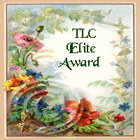 Award: Site of the Month of 11-99  *s*