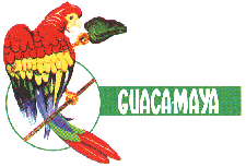 Guaca Maya