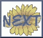 Next Kansas
Site
