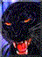 1cat.gif (2693 bytes)