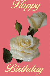 white rose