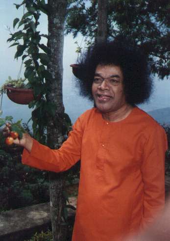 foto26.jpg (20972 bytes)