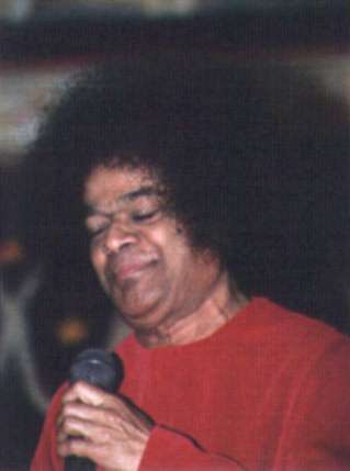foto81.jpg (9667 bytes)