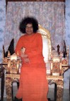 tmb175.jpg (7445 bytes)