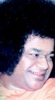tmb241.jpg (4349 bytes)