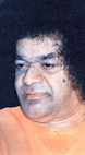 tmb245.jpg (4271 bytes)