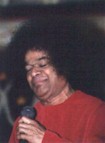 tmb81.jpg (4306 bytes)