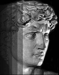 Il David di Michelangelo, particolare