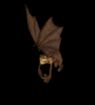 We fly into the night in glory!