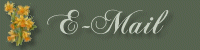 e-mail me