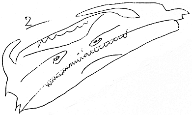 Bertiaux's Page 2 pix