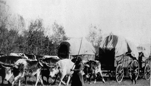Common Mode of Transport Along The Oregon Trail