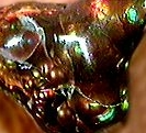 /user/320fireagate.jpg