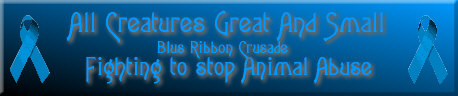 Please don't abuse animals!  They're living beings, too!