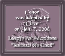 Conor's Certificate