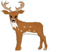 Love my pet deer!