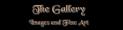The Gallery