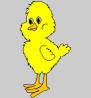 chick