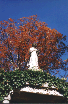 Close up of Angel