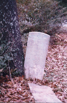 overgrown stone