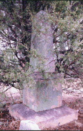 overgrown stone