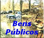 Bens P�blicos