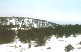 Snow on Troodos
