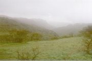 Hills behind Salalah shrouded in summer mist