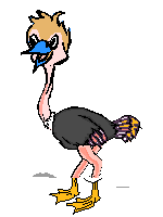 kookoobird.gif (3030 bytes)
