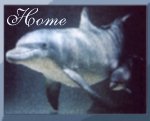 Dolphin Friends... Support the Cause