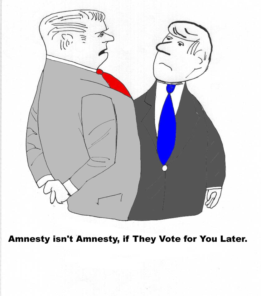  Amnesty
