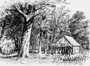hqtrs.jpg (29050 bytes)