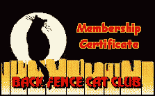 BFCC card