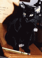Sparky and pencil