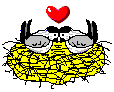 birds in love
