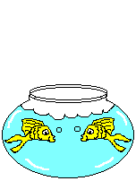 fish in love