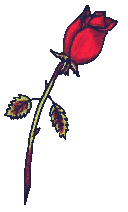 sweetheart rose